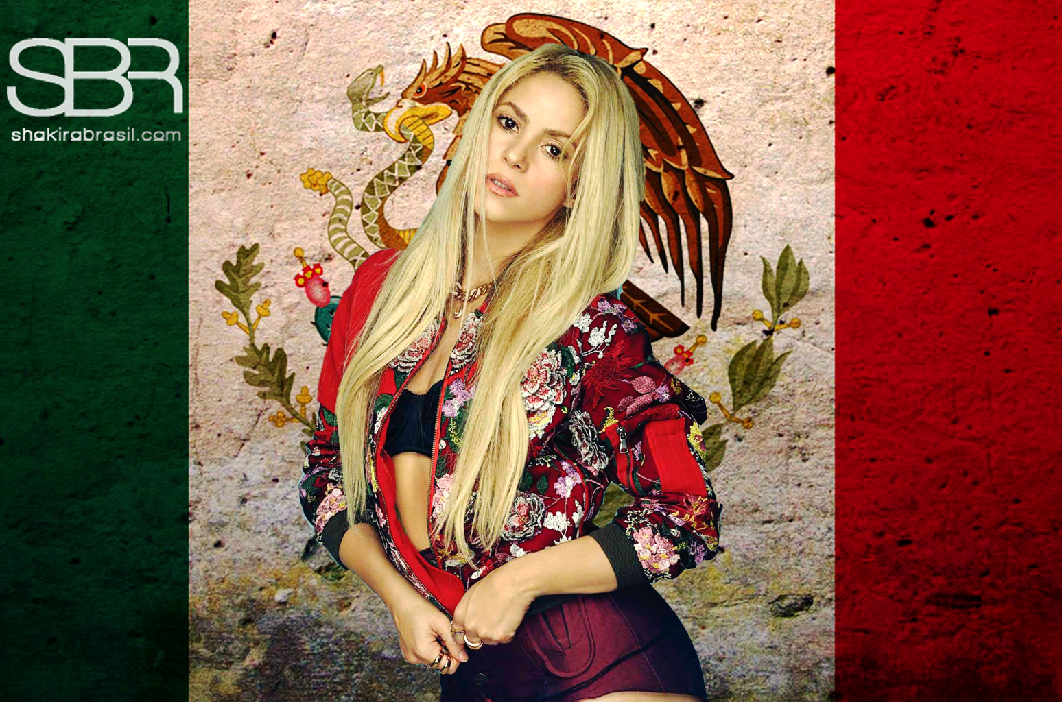 Confira os certificados oficiais de vendas de Shakira no México